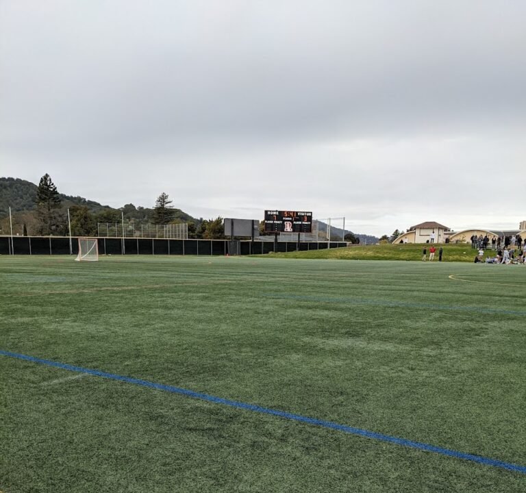 Soccer Field image 2