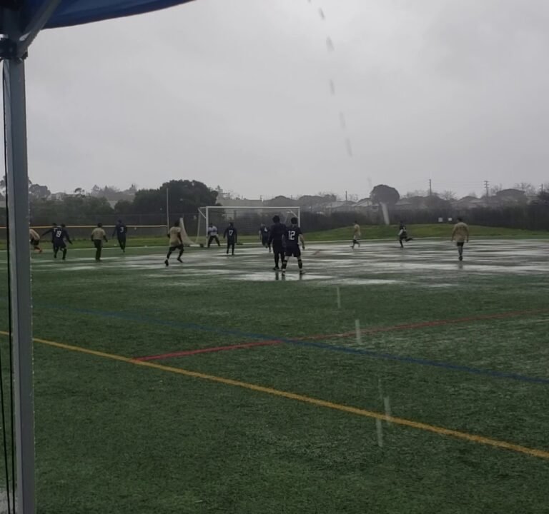 Soccer Field image 3