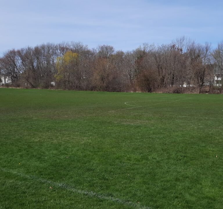 Soccer Field image 3
