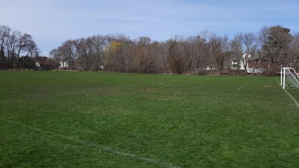 Soccer Field image 1