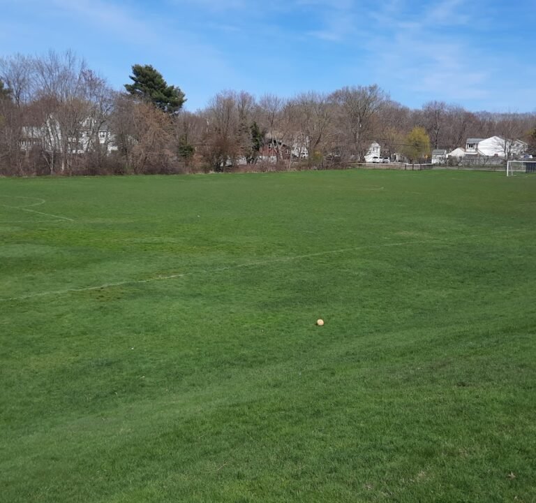 Soccer Field image 2