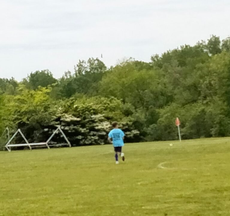 Soccer Field image 2