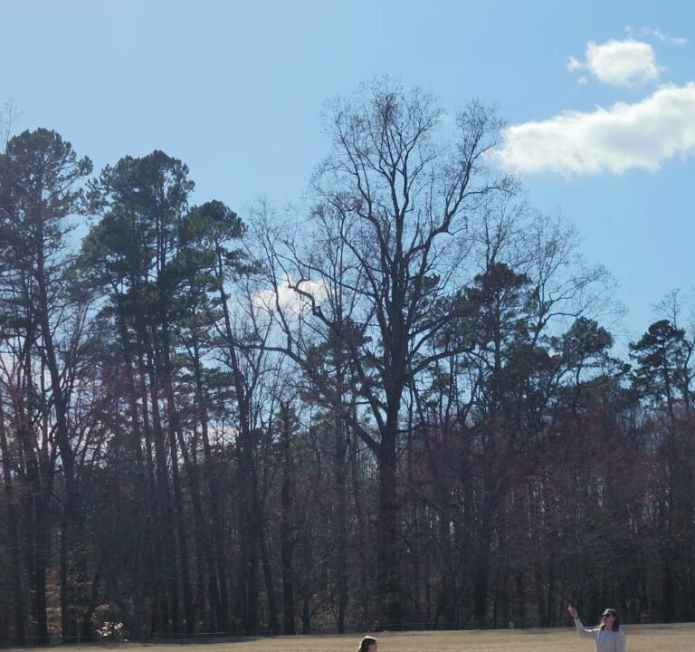 Soccer Field image 3