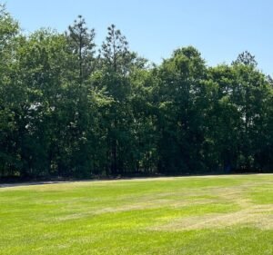 Soccer Field image 2