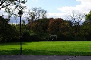 Soccer Field image 1