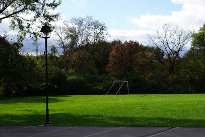 Soccer Field image 1