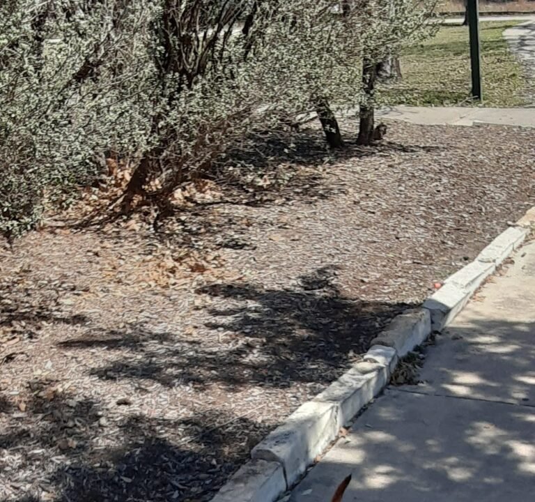 Soccer Field image 3