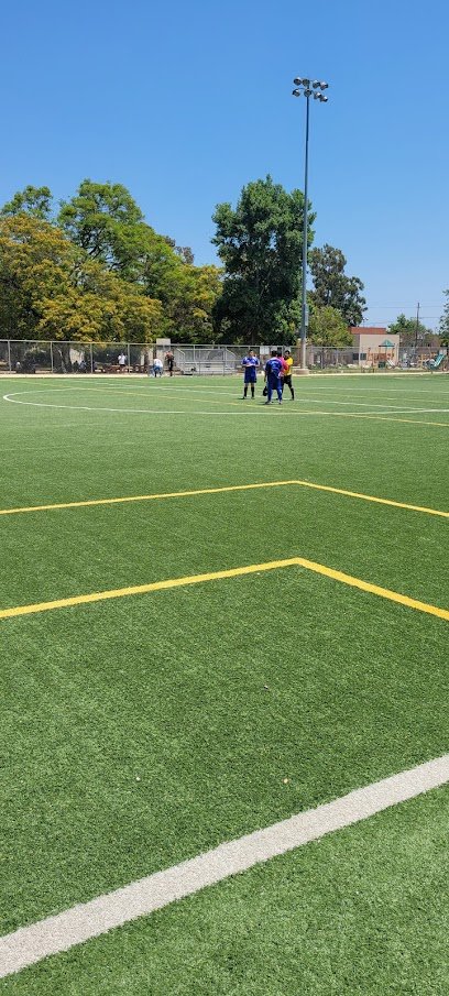 Soccer Field image 1