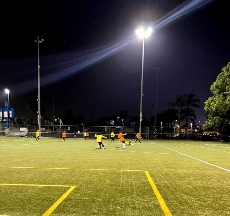 Soccer Field image 2