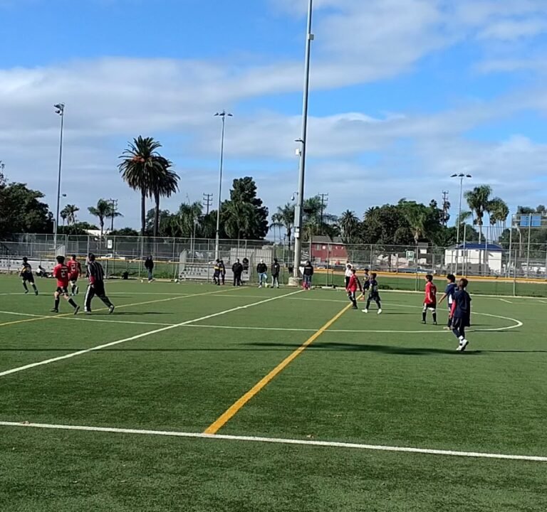 Soccer Field image 4