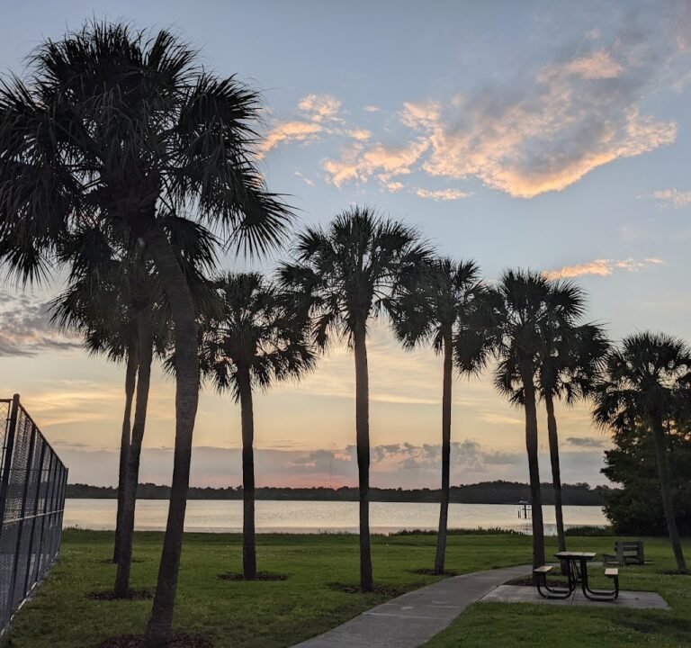 Soccer Field image 3