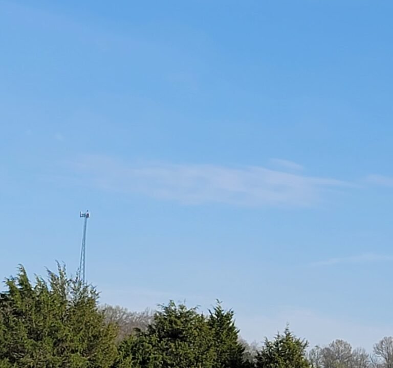 Soccer Field image 2