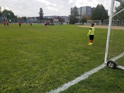 Soccer Field image 1