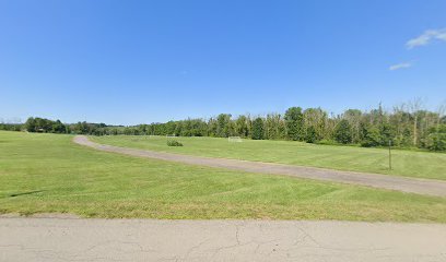 Soccer Field image 1