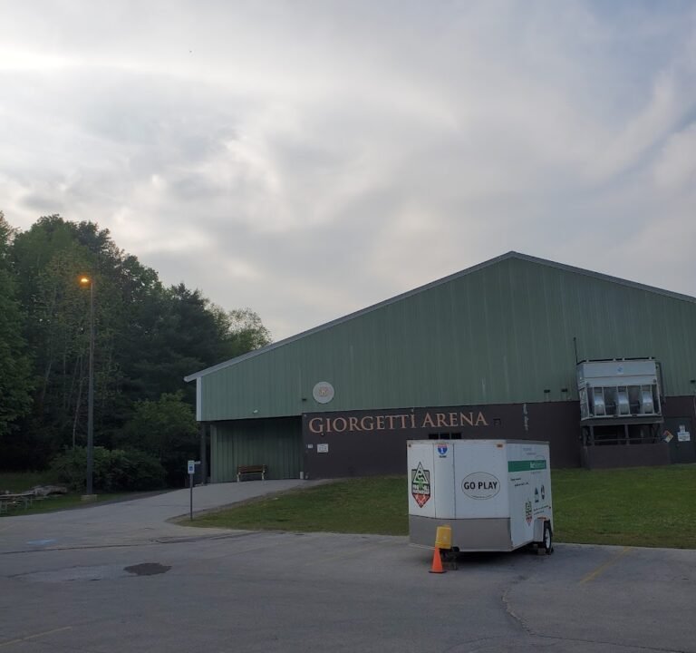 Soccer Field image 2