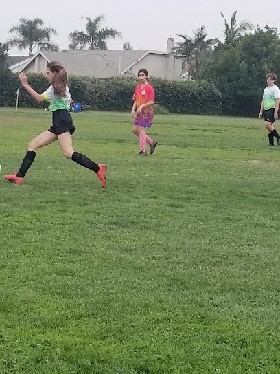 Soccer Field image 1