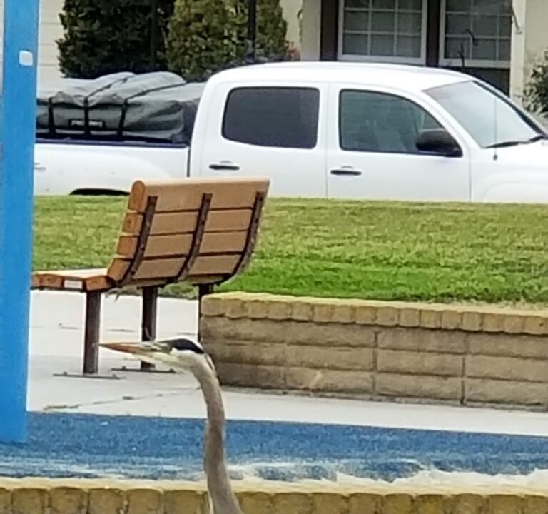 Soccer Field image 2