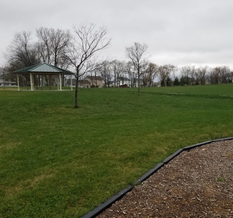 Soccer Field image 2