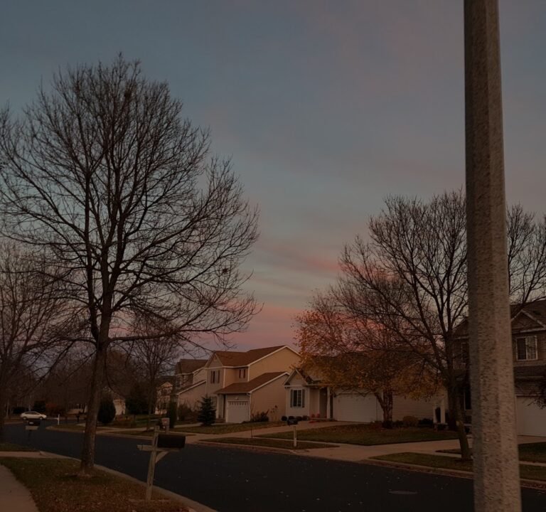 Soccer Field image 3