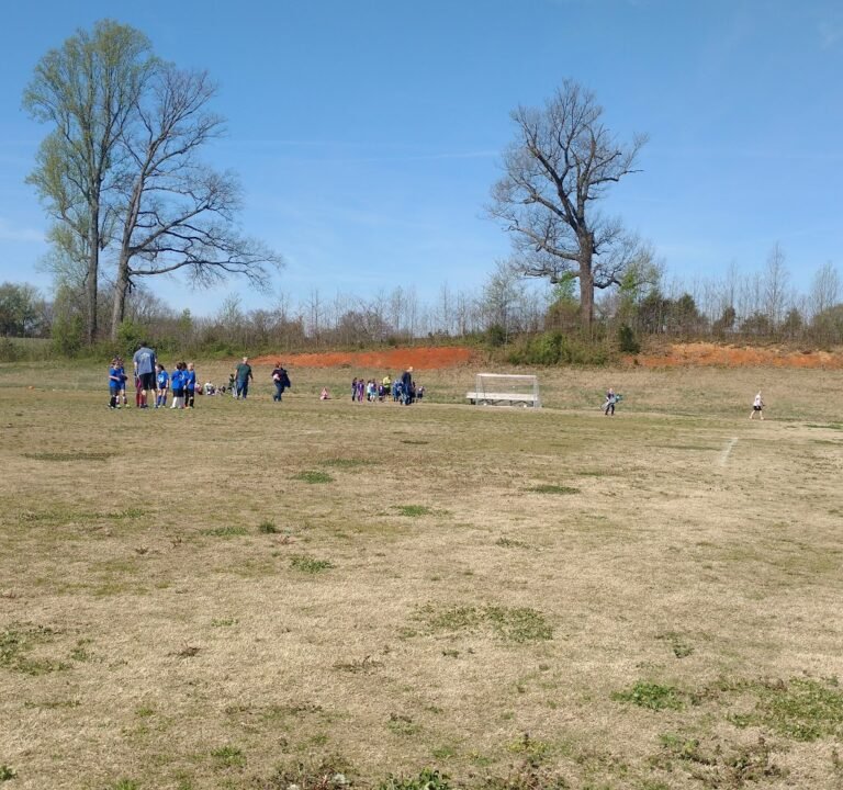 Soccer Field image 2