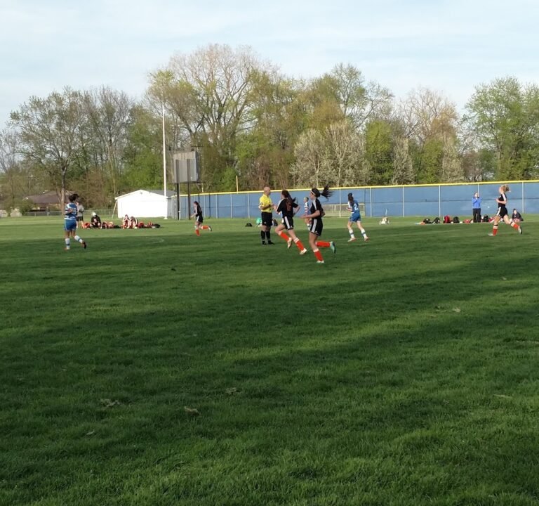 Soccer Field image 2