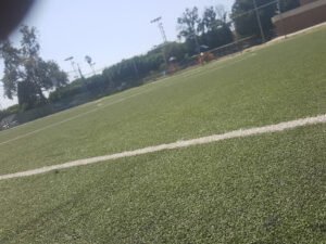 Soccer Field image 1