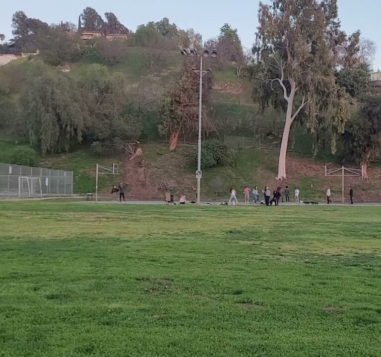 Soccer Field image 4