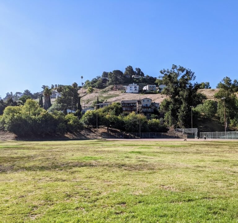 Soccer Field image 2