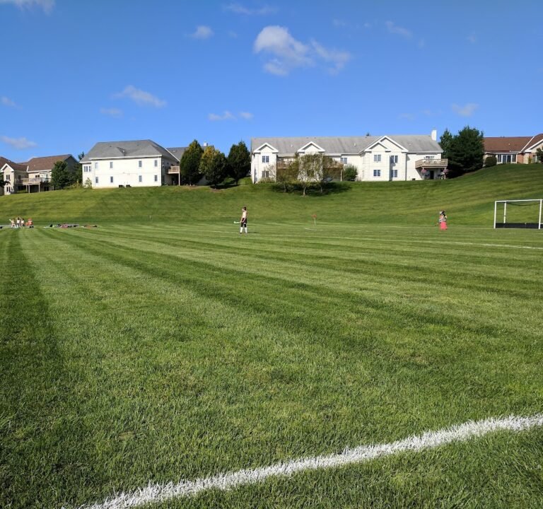 Soccer Field image 2