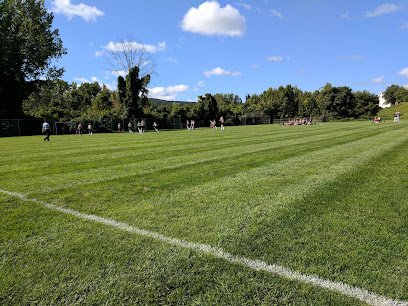 Soccer Field image 1