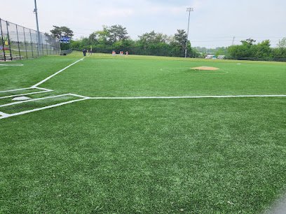 Soccer Field image 1