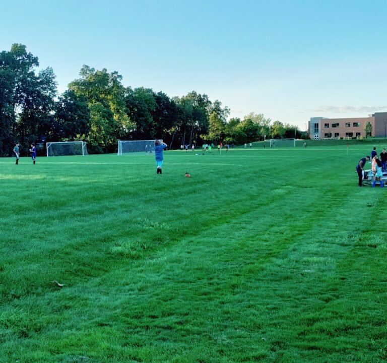 Soccer Field image 2