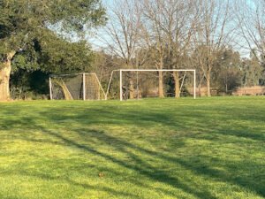Soccer Field image 1