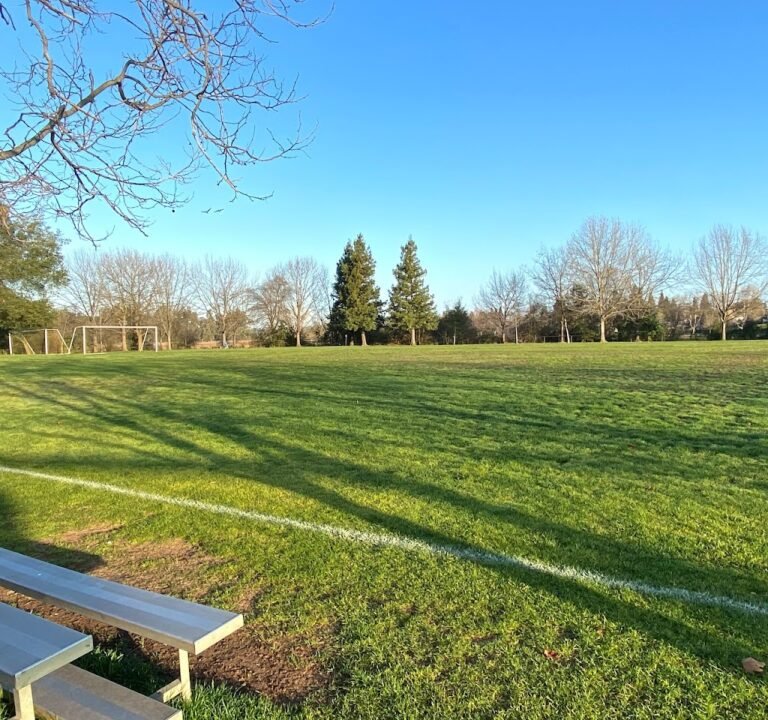 Soccer Field image 2