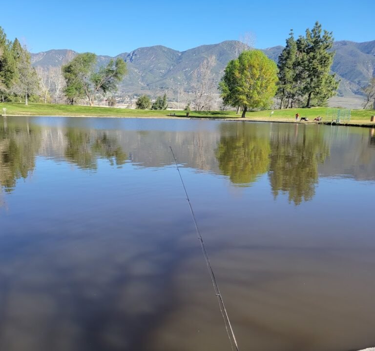 Soccer Field image 3
