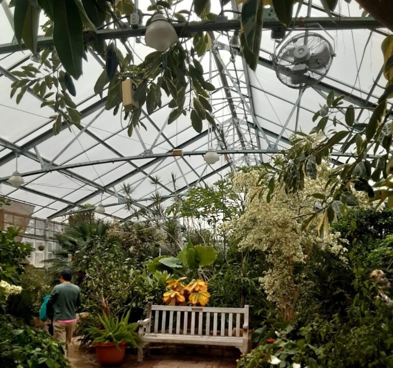 Soccer Field image 3