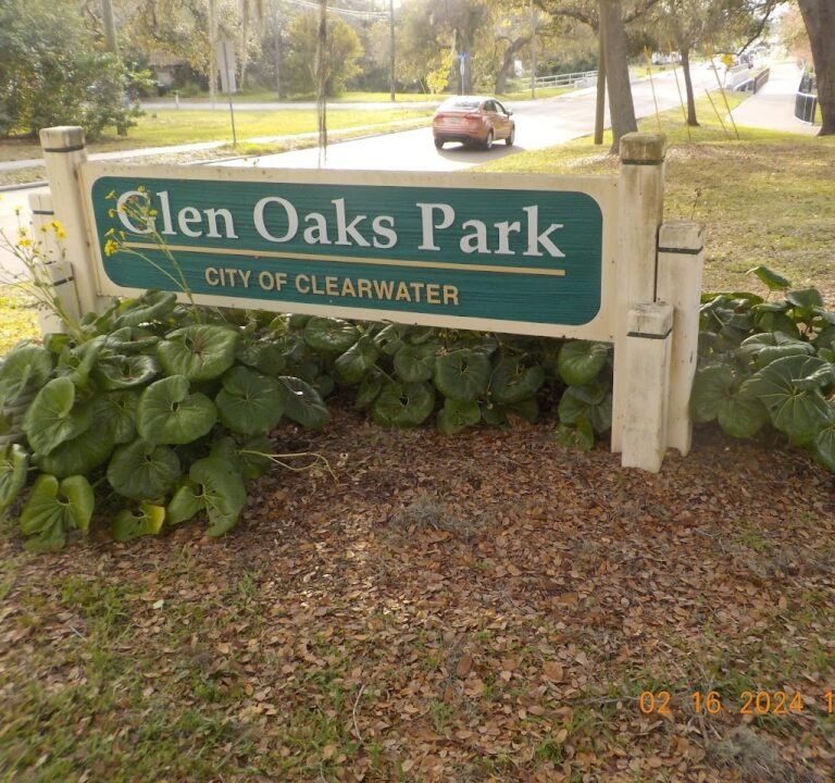 Soccer Field image 2