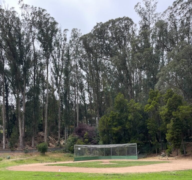 Soccer Field image 2