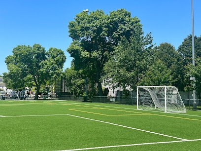 Soccer Field image 1