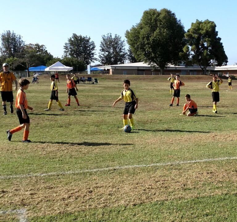 Soccer Field image 2