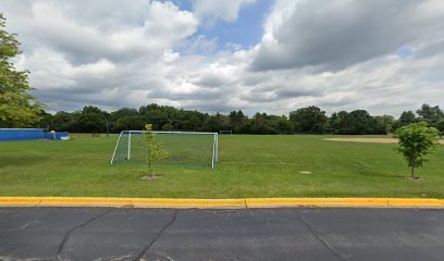Soccer Field image 1
