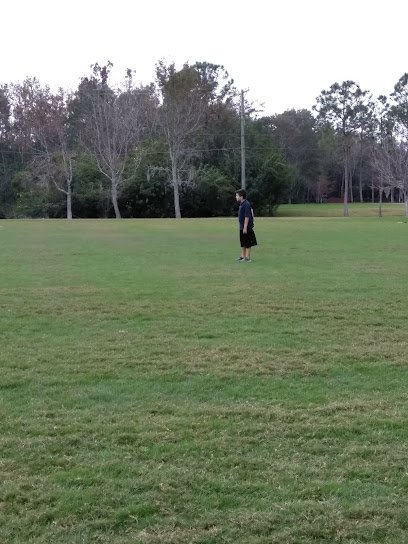 Soccer Field image 1
