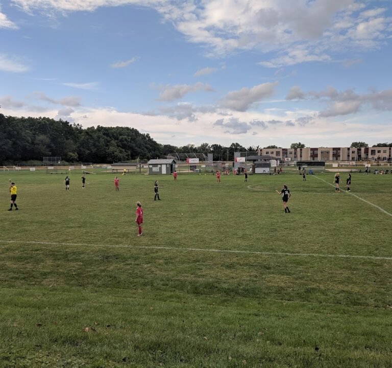 Soccer Field image 2