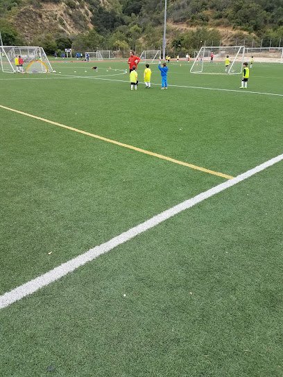 Soccer Field image 1