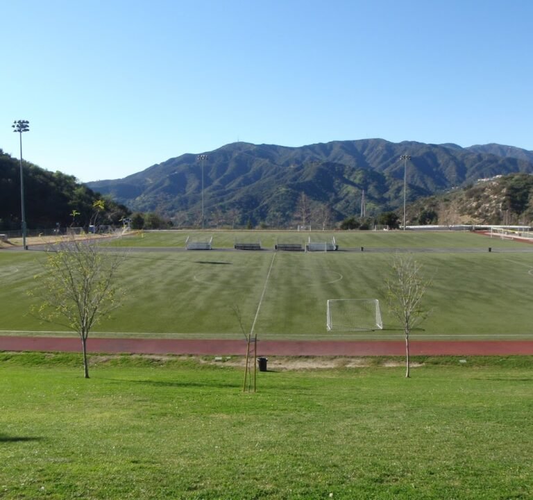 Soccer Field image 3