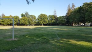 Soccer Field image 1