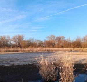 Soccer Field image 3