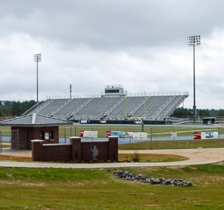 Soccer Field image 2