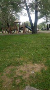 Soccer Field image 1
