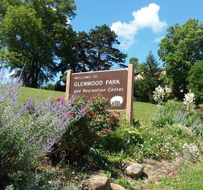 Soccer Field image 2